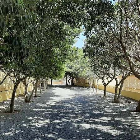 Front Beach - Quinta Da Barracuda * Αλμπουφέιρα