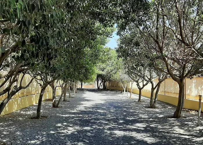 Front Beach - Quinta Da Barracuda * 阿尔布费拉